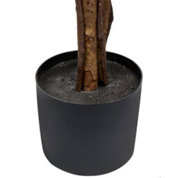 Wyld And Coco 175Cm Lifelike Potted Umbrella Tree Artificial Plant, Indoor Greenery, No Assembly - thumbnail 5