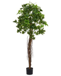 Wyld And Coco 175Cm Lifelike Potted Umbrella Tree Artificial Plant, Indoor Greenery, No Assembly - thumbnail 1