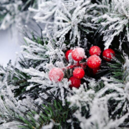 Evre 9Ft, 275Cm Snow Frosted Artificial Christmas Garland, Pine Cone, Berries Branches, Indoor, Wall Hanging Decoration - thumbnail 5