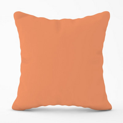 Warren Reed Designer Faded Orange Cushions 60Cm X 60Cm - image 1