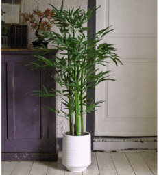 Bloom Tall White Terracotta Vase - Modern Vase For Fresh Or Artificial Flower Stem Bouquet Arrangements - Measures H25.5 X 21Cm Diameter - thumbnail 3