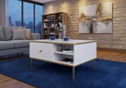 Amos Mann Furniture Camelia White And Gold Small Elegant Storage Coffee Table - thumbnail 4
