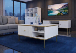 Amos Mann Furniture Camelia White And Gold Small Elegant Storage Coffee Table - thumbnail 3