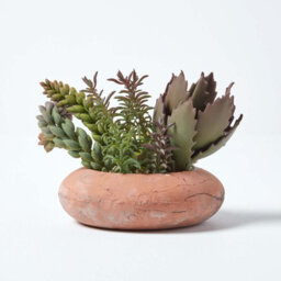 Homescapes Artificial Green Handcrafted Succulent Arrangement In Decorative Round Terracotta Pot, 15 Cm - thumbnail 6