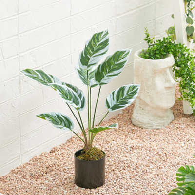 Living And Home Potted Fake Plants Artificial Calathea White Fusion For Home Decoration 545mm (H) - image 1