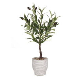 Green 53Cm Olive Artificial Plant In Grey Ceramic Pot - thumbnail 1