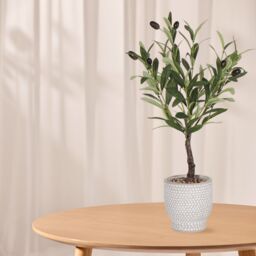 Green 53Cm Olive Artificial Plant In Grey Ceramic Pot - thumbnail 4