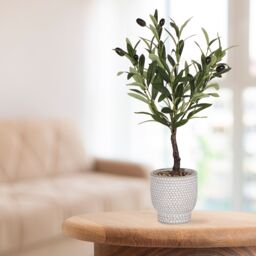 Green 53Cm Olive Artificial Plant In Grey Ceramic Pot - thumbnail 5