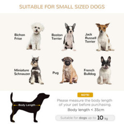 PawHut Grey Dog Sofa Bed With Soft Padded Cushion For Small Dogs - thumbnail 6