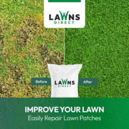 Lawns Direct™ Prograss™ 10Kg Professional Low Maintenance Fine Turf Grass Seed Mix Covers 285-500M² - thumbnail 4