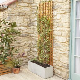 6Ft Pine Trellis Panel (W)122Cm X (H)183Cm - thumbnail 5