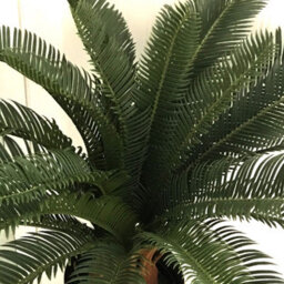Large Artificial Palm Tree 70Cm Cycas Realistic Plant Leaf Design Uk Premium Botanik - thumbnail 2