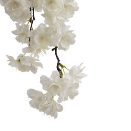 Hill Interiors Cherry Blossom White Stem Faux Plant - thumbnail 5