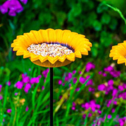 Woodside Cast Iron Sunflower Dish Bird Feeder (Pack Of 2) - thumbnail 2