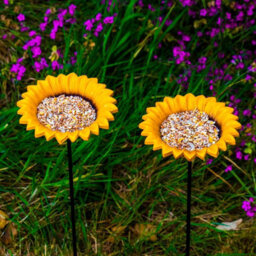 Woodside Cast Iron Sunflower Dish Bird Feeder (Pack Of 2) - thumbnail 1