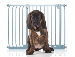 Bettacare Elite Pressure Dog Gate, 98Cm -107Cm, Matt Grey, Pressure Fit Pet Gate For Dog And Puppy - thumbnail 1