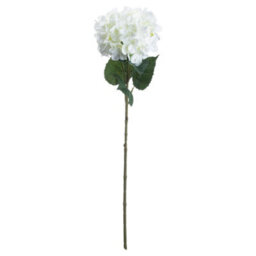 Wyld Haus Set Of 3 Artificial White Hydrangea Stems, 700mm Indoor Faux Flowers - thumbnail 1
