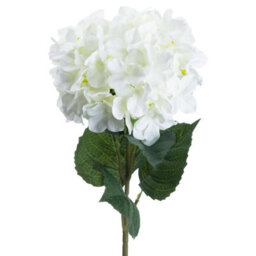 Wyld Haus Set Of 3 Artificial White Hydrangea Stems, 700mm Indoor Faux Flowers - thumbnail 2
