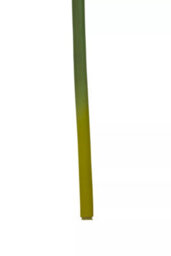 Orsina Amaryllis Stem - 72Cm Burgundy, Deep Burgundy Petals With Realistic Texture And Form, Striking Faux Flower - thumbnail 7