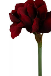 Orsina Amaryllis Stem - 72Cm Burgundy, Deep Burgundy Petals With Realistic Texture And Form, Striking Faux Flower - thumbnail 6