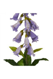 Natural Garden Collection Mauve Foxglove Stem, Realistic Artificial Flower - thumbnail 2