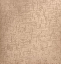Enhanced Living Pair Of Vogue Latte Textured Cushion Covers - 43X43Cm - Cases Only - thumbnail 2