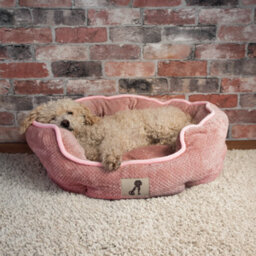 All Pond Solutions All Pet Solutions Alfie - Pink Soft Dog Bed - Size Small - thumbnail 6