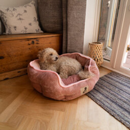All Pond Solutions All Pet Solutions Alfie - Pink Soft Dog Bed - Size Small - thumbnail 5