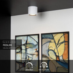 Lucide Fedler Modern Surface Mounted Ceiling Spotlight 12Cm - Led Dim To Warm - Gu10 - 1X12W 2200K/3000K - White - thumbnail 2