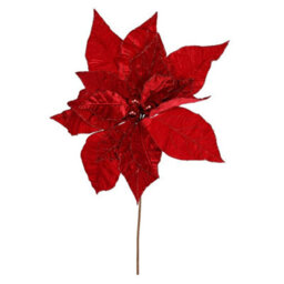 Giant Poinsettia Head 50Cm - Red - thumbnail 1