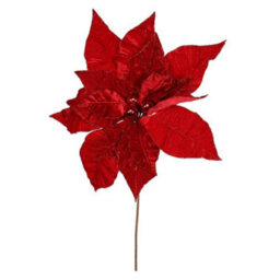 Giant Poinsettia Head 50Cm - Red - thumbnail 2