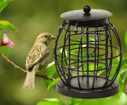 Nature's Market Wild Bird Hanging Lantern Fat Ball Feeder - thumbnail 3