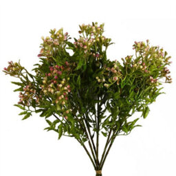 Leaf Pack Of 6 X 55Cm Artificial Foliage Stem With Pink Berries - thumbnail 1