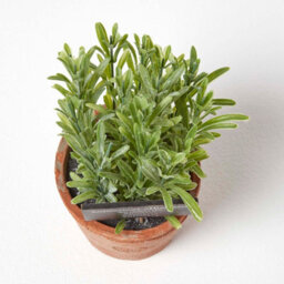 Homescapes Artificial Green Handcrafted Rosemary Plant In Decorative Pot, 18 X 10 Cm - thumbnail 2