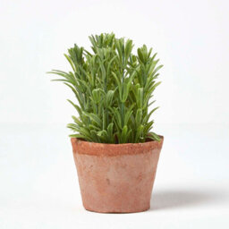 Homescapes Artificial Green Handcrafted Rosemary Plant In Decorative Pot, 18 X 10 Cm - thumbnail 4