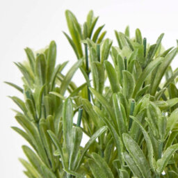 Homescapes Artificial Green Handcrafted Rosemary Plant In Decorative Pot, 18 X 10 Cm - thumbnail 5