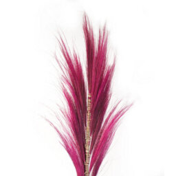 Rayung Pink Pampas Grass Display - 1.6M Tropical Decor, Handcrafted In Bali - thumbnail 3