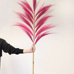 Rayung Pink Pampas Grass Display - 1.6M Tropical Decor, Handcrafted In Bali - thumbnail 7