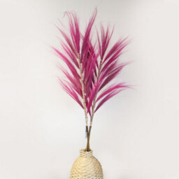 Rayung Pink Pampas Grass Display - 1.6M Tropical Decor, Handcrafted In Bali - thumbnail 1