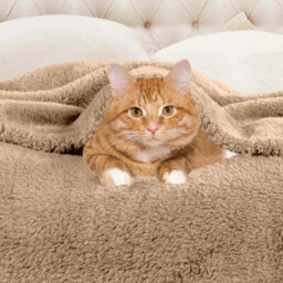 Ameha Fleece Plain Blanket, Lightweight & Reversible Throw For Travel, Bed & Sofa Blanket, Camel Single 130X150Cm - thumbnail 2