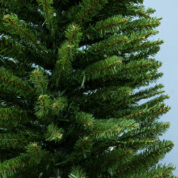 Christmas Tree World The 8Ft/240Cm Green Italian Pencilimo Christmas Tree - thumbnail 5