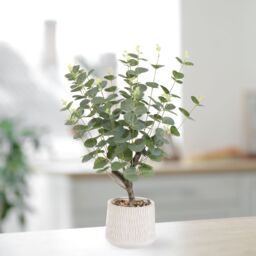 Green 62Cm Eucalyptus Artificial Plant In Natural Ceramic Pot - thumbnail 5