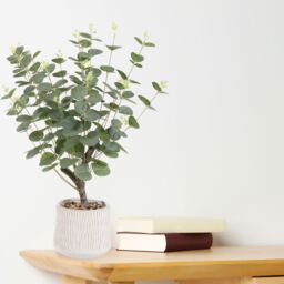 Green 62Cm Eucalyptus Artificial Plant In Natural Ceramic Pot - thumbnail 4