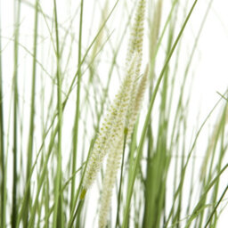 Wyld Haus Large Artificial Onion Grass Plant 120Cm Pot Not Included - thumbnail 2