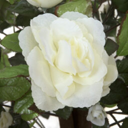 GreenBrokers Artificial White Rose Tree 30 Flowers 120Cm/4Ft - thumbnail 4