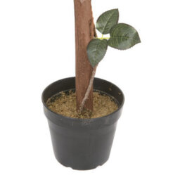 GreenBrokers Artificial White Rose Tree 30 Flowers 120Cm/4Ft - thumbnail 5