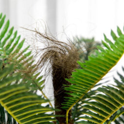 Artificial Palm Tree Plant, 85 Cm, With 18 Large, Highly Realistic Leaves Pot Included - thumbnail 8