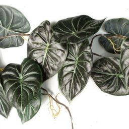 Leaf 6 X 120Cm Artificial Hanging Trailing Plant Alocasia Dragon Scale Dark - thumbnail 3