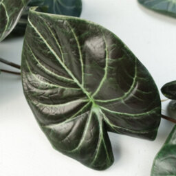 Leaf 6 X 120Cm Artificial Hanging Trailing Plant Alocasia Dragon Scale Dark - thumbnail 2