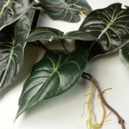 Leaf 6 X 120Cm Artificial Hanging Trailing Plant Alocasia Dragon Scale Dark - thumbnail 4
